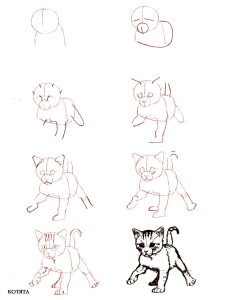 Как да се направи котка