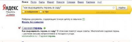Как правилно да търсите в интернет, чрез търсачки (търсещи машини) (търси) Как правилно да търсите в интернет, чрез търсачки (търсачки)