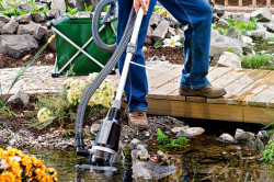 Как да се почисти езерце на лятна резиденция на тиня и водорасли с ръцете си (видео)