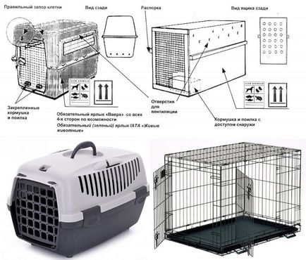 Как да се транспортира куче в правилата за самолетни, документи, подготовка