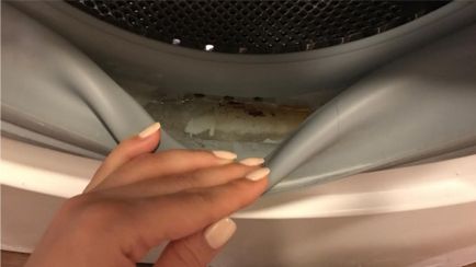 Как да се почисти пералнята с домашни средства в 5 стъпки (снимка)