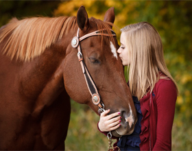 Как да станем приятели с кон, конят ми