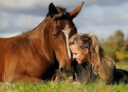 Как да станем приятели с кон, статии
