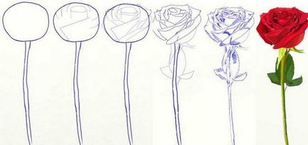 Как да се направи стъпка по стъпка роза проста техника, рисунка с молив роза, LS