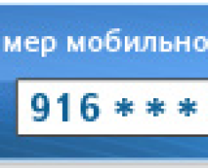 Как да се попълни WebMoney през терминала дали е възможно да се сложи парите в сметката на чантата в България