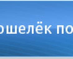 Как да се попълни WebMoney през терминала дали е възможно да се сложи парите в сметката на чантата в България