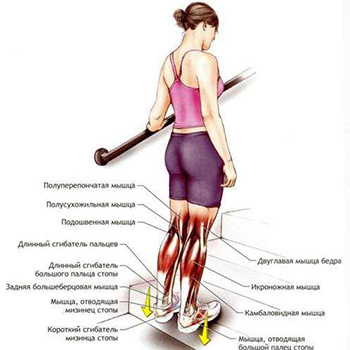 Как да отслабна в краката, не изпомпване на мускулите