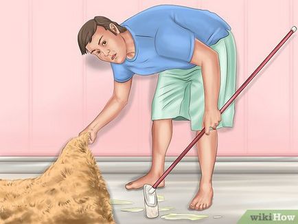Как да привикнат на кучето към падока