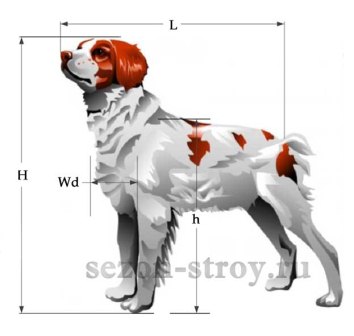 Как да се изчисли размерът на щанда за кучето, сезон-операция