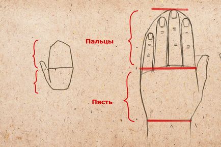 Как да се направи ръце