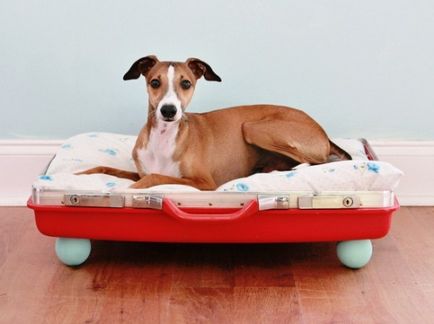 Как да си направим къща или диван за кучето си ръце снимка, инструкции, модел