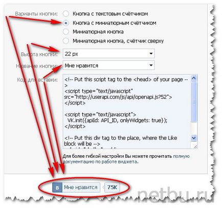 Как бутон VKontakte на интернет страница, блог, Дмитрий Bajdukov