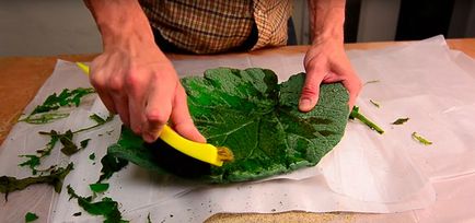 Как да си направим една чиния от лист елегантен