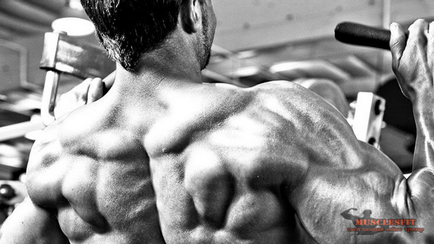 Как се прави на гърба на по-широк или тайната на широкия гръб, musclesfit