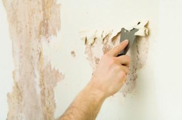 Как да се шпакловка и замазка, стените със собствените си ръце условията за кандидатстване шпакловка