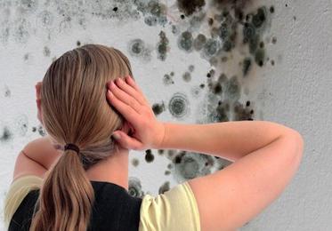 Как да премахнете мухъл по стените в апартамента завинаги
