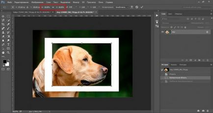 Как да се намали на обекта в Photoshop бързо и професионално