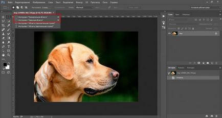 Как да се намали на обекта в Photoshop бързо и професионално