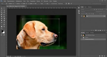 Как да се намали на обекта в Photoshop бързо и професионално