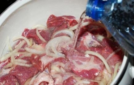 Как да се маринова месото за шиш кебап рецепти, най-добри кисели краставички