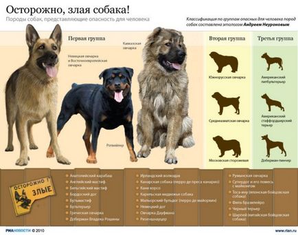 Как да се предпазите от куче - Виталий chuyakov и ко