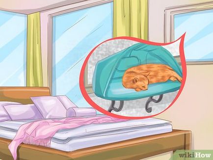 Как да си направим една котка за спане до вас