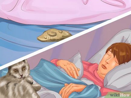 Как да си направим една котка за спане до вас