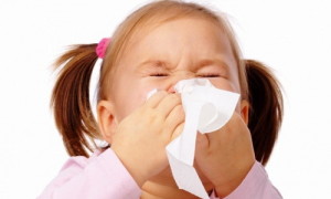 Каланхое от обикновена настинка за деца да използват кога и как е добър помощник при настинка