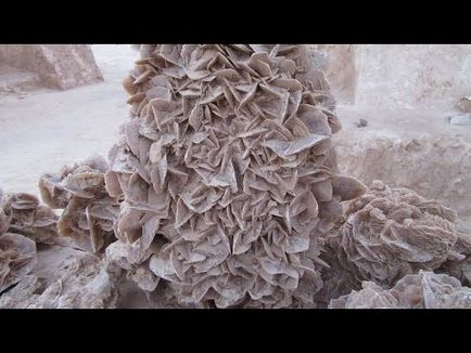Stone Desert Rose (Тунис) свойства на минерала и изглежда като