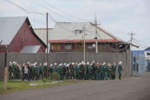 Colony уреждане, че е от условията на задържане в България, особено на режима за затворници