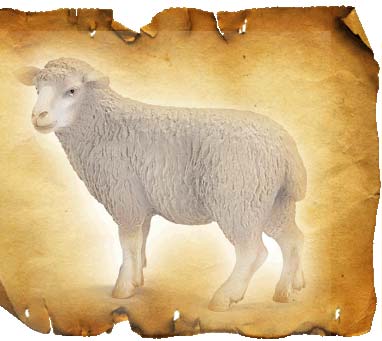 Коза (овце) знак ЕТ хороскоп, хороскоп характеристика коза (овце)