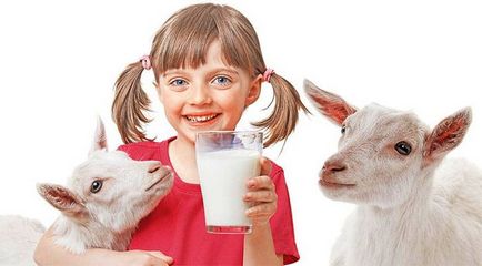 Козе мляко - 9 полезни свойства и противопоказания