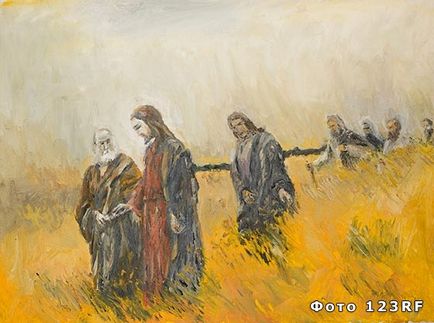 Кои са апостолите, и колко са били там, на базата на отговорите на всеки въпрос (е) Кои са апостолите, и колко са били там, на базата на отговорите на всички въпроси,