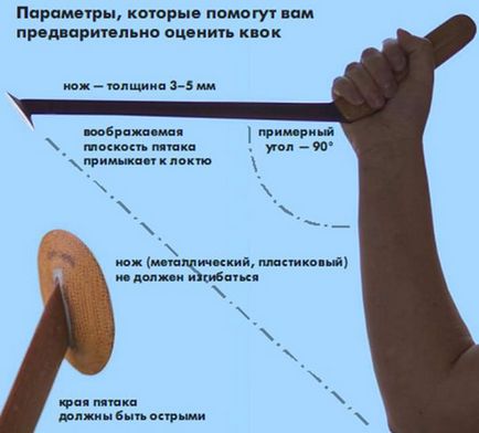 Куок собствените си ръце за улов на сом искате да бъде направено в ръководството за видео