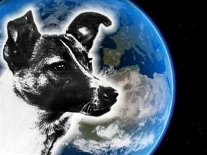 Laika първото куче в космоса