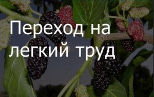 Лесно работа по здравословни причини може би, България (здраве на труда) Лесно работа по здравословни причини Кодекса на труда
