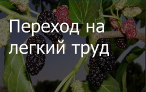 Лесно работа по здравословни причини Кодекса на труда