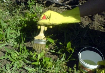 Топ съвети за борба с плевели в градината