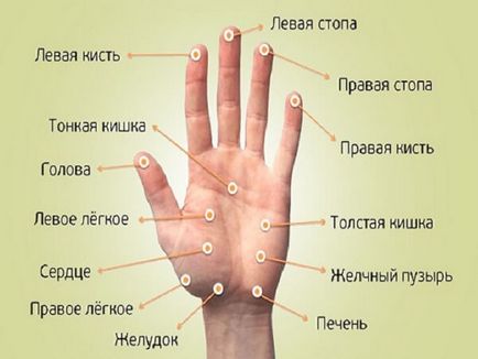 Масажирайте дланите и пръстите на дясната му ръка, съвети, клипове (дланите) Масажирайте дланите и пръстите на дясната му ръка, съвети, видео