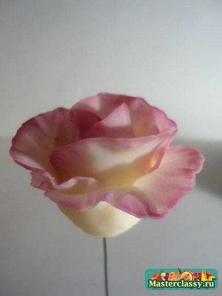 Майсторски клас на студените порцеланови рози за начинаещи със снимки и видео
