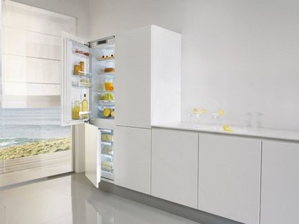 Възможно ли е да се изгради конвенционален хладилник в идеите за кухня и заключенията