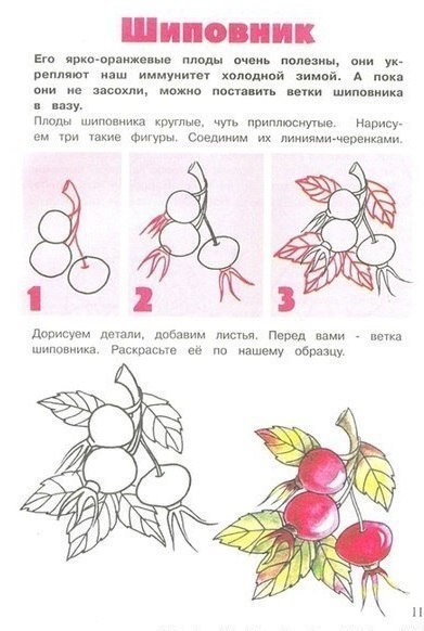 Имената на дърветата и техните листа (учат с детето) Имената на дърветата и техните листа