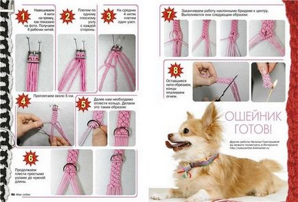 Амулет за куче със собствените си ръце - защита на вашия домашен любимец от увреждане