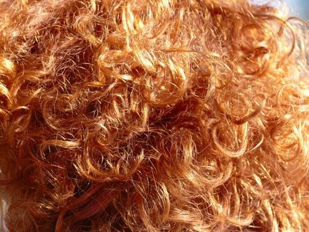 Оцветяване на косата с естествени багрила рецепти, съвети