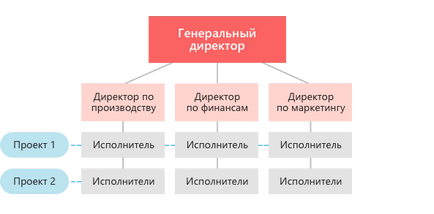 Организационната структура и видове - схема