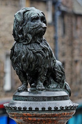 Паметници кучета (кучета най-известните паметници) паметници кучета