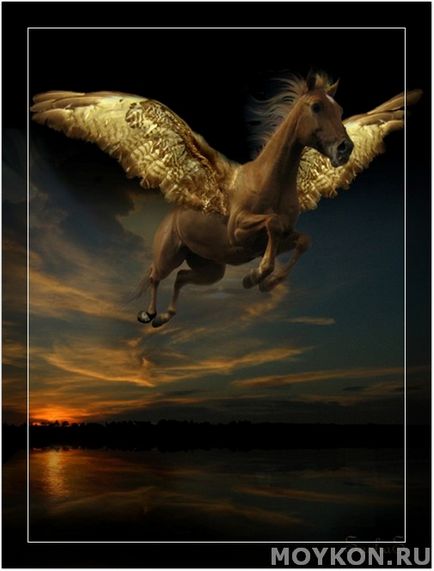 Pegasus - кои са тези летящи кон кон ми