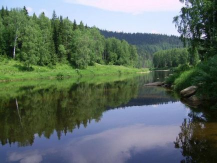 Защо трябва да се защити гората