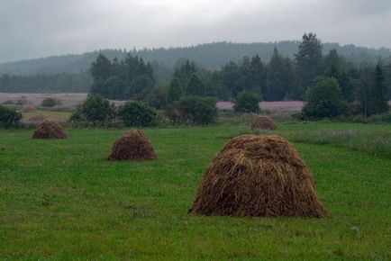 Защо това е, че през лятото е необходимо да отидете на морето