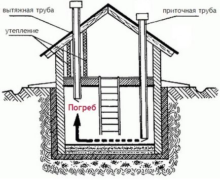 Изба с ръцете си в гараж (гараж) Изба с ръцете си в гаража
